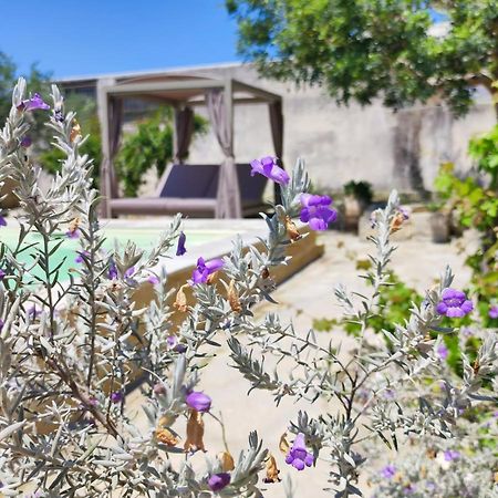 Cannole Masseria Asteri B&B מראה חיצוני תמונה