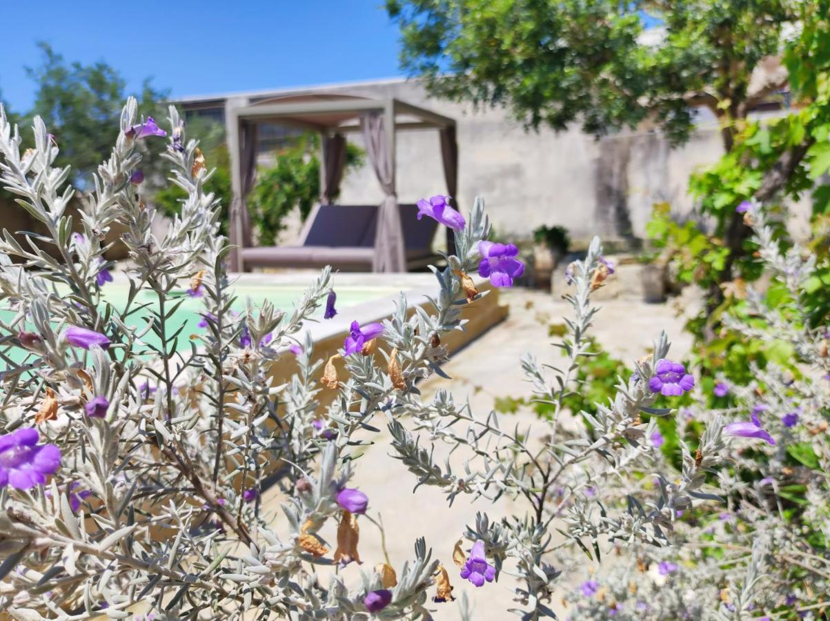 Cannole Masseria Asteri B&B מראה חיצוני תמונה