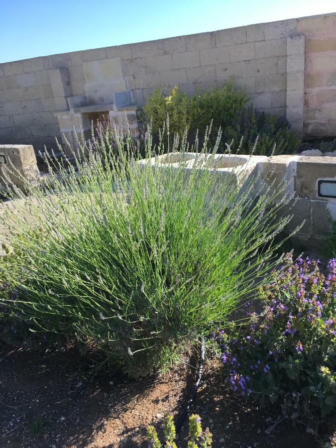 Cannole Masseria Asteri B&B מראה חיצוני תמונה